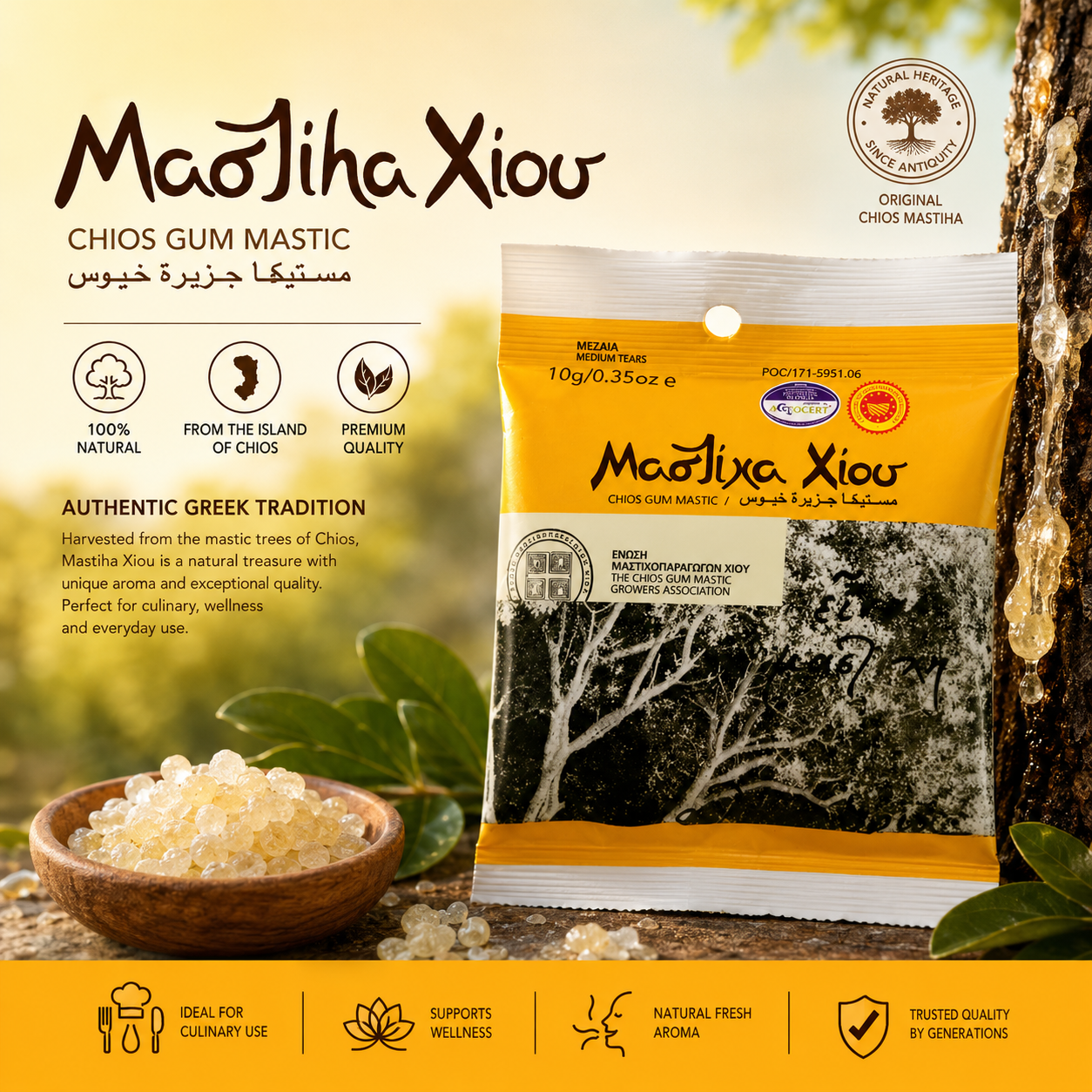 mastic gum where to buy